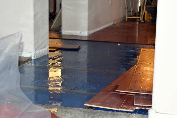 Professional Water Removal technician working in Corder, MO